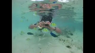 KESERUAN DI PULAU KALIMATUNG WITH DRONE