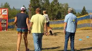 7.08.22 БРР Полазна Чемпионат РКФ, 1 раздел послушание