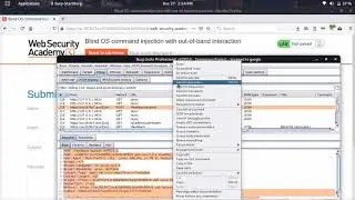Blind OS command injection with out of band interaction (Video Solution) | 2020 -2021