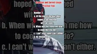 Grammar  and Correct Usage 