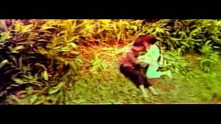 Bruce Li's Magnum Fist (1978) Polly Shang Kwan Ling Feng