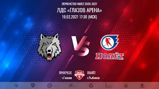 19.02.2021. «Прогресс» – «Полёт» | Чемпионат НМХЛ 20/21 - Прямая трансляция