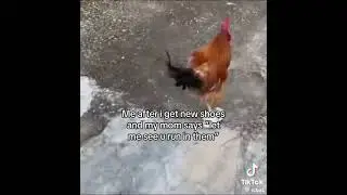 OMG I CANT BREATHE WITH THIS CHICKEN 😭