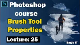 Advance Brush Tool Properties/Settings in Photoshop