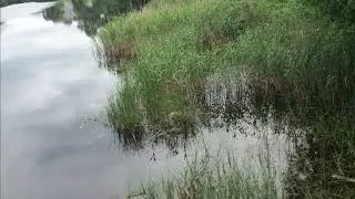 Наша река!