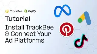 How to install TrackBee and connect Meta, Google Ads, Pinterest & TikTok | Tutorial