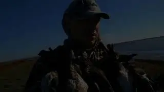 Утка 14 октября 2018г