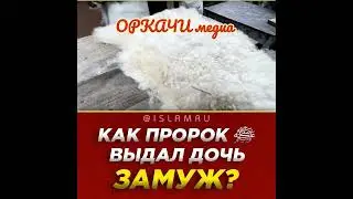 Как Пророк {ﷺ} выдавал дочь замуж?#оркачи #семья #дагестан #напоминание