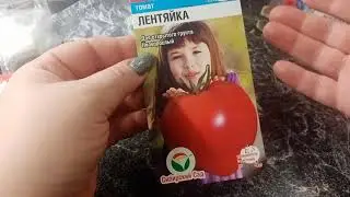 🍅Томаты открытого грунта.Низкорослые,полуинденты,гномы.Что я выбрала на сезон 2022г.🤗