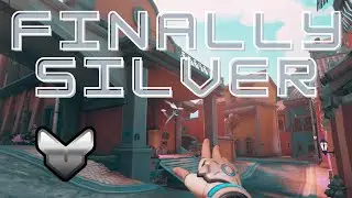 I FINALLY Hit Silver Support