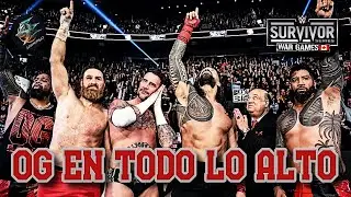 A dormir | WWE Survivor Series WAR GAMES 2024 | RegioReview