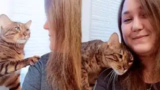 “I have an aggressively affectionate cat”  - Cute Cat Show Love To Their Owner