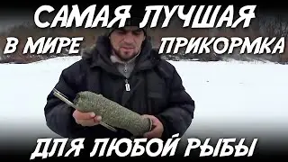 рыбалка / самая лучшая в мире прикормка для любой рыбы