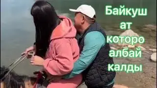 Байкуш ат экоосун которо албай калды!