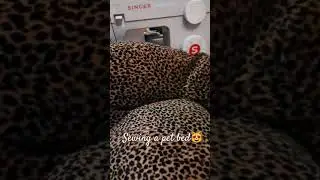sewing a pet bed #petbed #sewing