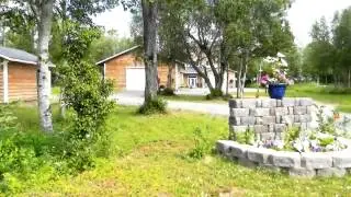 3194.mp4