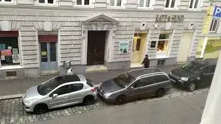 КАК ПРОВЕРЯЮТ ПАРКОВКУ В АВСТРИИ?