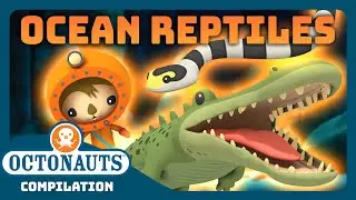 ‪@Octonauts‬