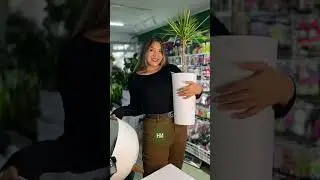 Новое поступление кашпо и горшков 