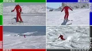 Einteilungskriterien der Österreichischen Skischulen