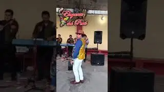 ELEGANTE DEL PERU HUAYNO ANCASHINO (autor luis paredes)