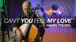 Can't You Feel my Love by Daniel Polisel