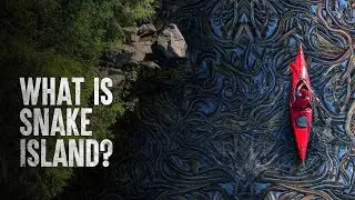 HOW TO SURVIVE SNAKE ISLAND | Tech and Science |