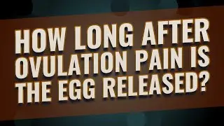 How long after ovulation pain is the egg released?