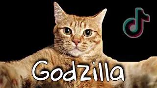 eminem feat. juice wrld godzilla tik tok