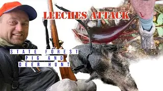 Leeches Attack!!! State Forest Pig and Deer Hunt