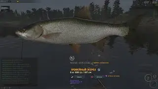 Fisher Online: Кулгу, жерех