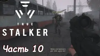 Новая снаряга, инструменты, Агропром - мод True Stalker Часть 10