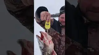 и такой сюрприз был. река Ляпин. северная Сосьва. рыбалка в ХМАО.