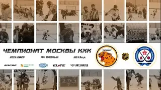 2013 ЧЕМПИОНАТ МОСКВЫ КХК /ХК ГЕПАРДЫ/ - /ХК АКАДЕМИЯ ФЕТИСОВА14-1/