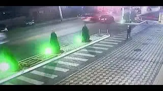 Мужчина травит собак 1