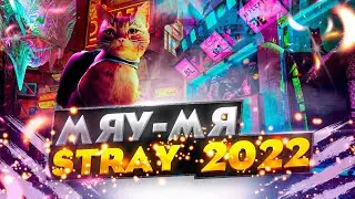 Легкий Обзор Кошачий Симулятор Stray