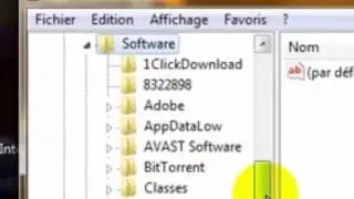 solution of IDM has been registered with fake serial number