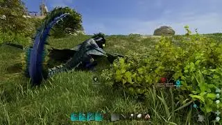Wild Zaldrir Taming
