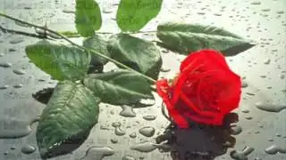 Ali Kınik Adam Degilim  !