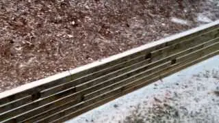 My shock at seeing snow here
