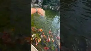 You see why it’s so fun to go to “The Office?!” “The Water Garden Capital of the World” #ilovemyjob