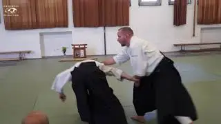 Aikido Steohane Goffin  Balaton Seminar 2020 Details 2/2