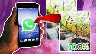 How to Send any Files/Pictures With 100% Quality on WhatsApp?