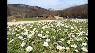 Торопова Дача+БЛАГОДАТНОЕ?