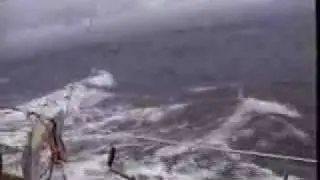 Waves