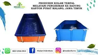 Jual Terpal Kolam Ikan Di MakassarJual Terpal Kolam Ikan HP/WA.0857-9959-7519(BAPAK DIKA)