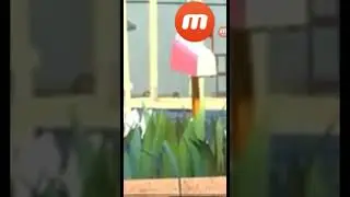 евил нанка скажи откуда это????