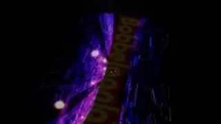 Revolution 3D - 1989 Bones on the Beach