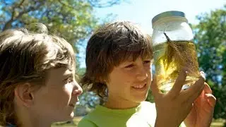 Helping children find their passions - Madeline Levine
