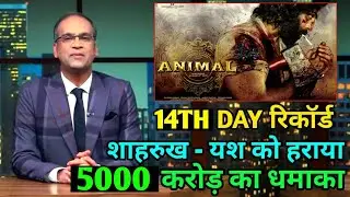 Animal Box Office Collection | Animal Box Office Collection Day 14, Ranbir Kapoor, Bobby Deol